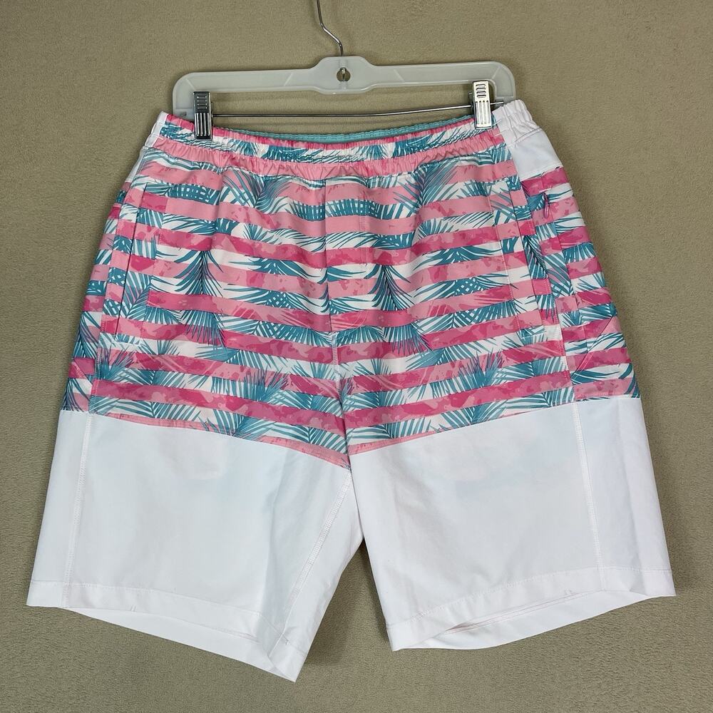 Birddogs Short Mens L Multicolor Striped Lined Elastic Waist Swim‎ Trunks
